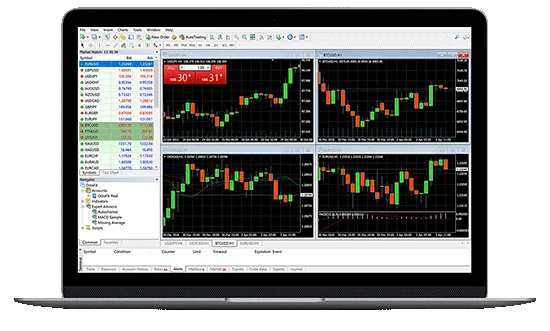 WELTRADE Trading platforms