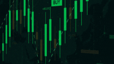 EightCap Demo Contest