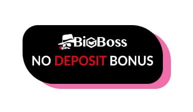 BigBoss promotion